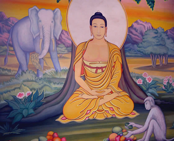 tibetan buddha pix