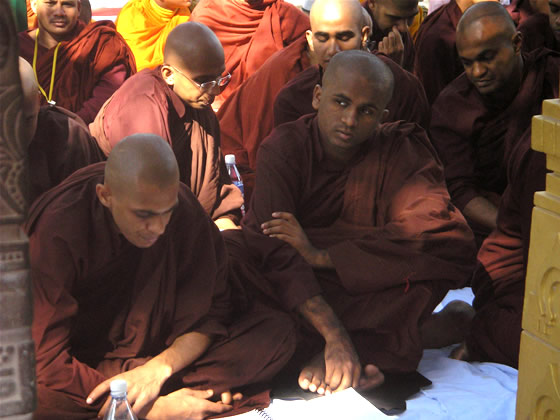 chanting under the bodhi tree 