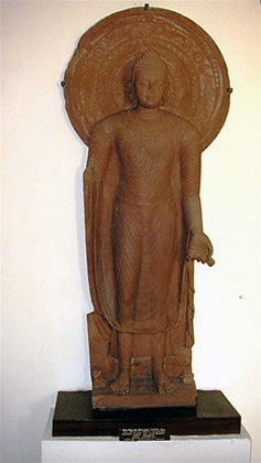 standing Buddha--Mathura Museum 