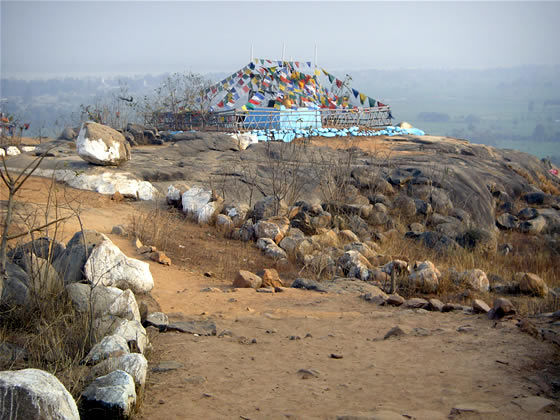 the Buddhist shrine 